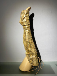 Краги с наколенниками золотая змея