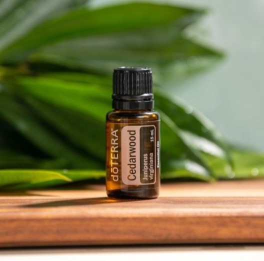 Эфирное масло Кедр 15мл.