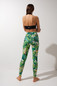 Леггинсы Green fern Shark	