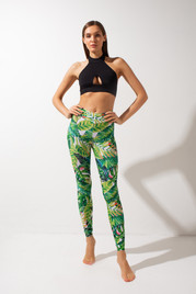 Леггинсы Green fern Shark	