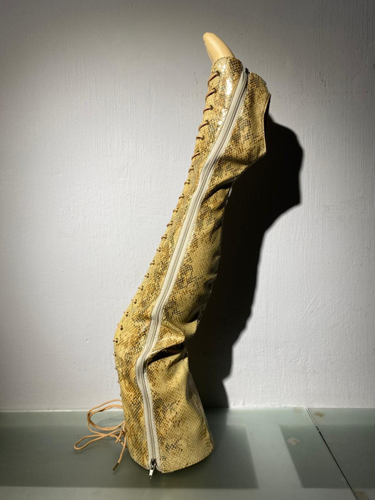 Краги-Ботфорты золотая змея