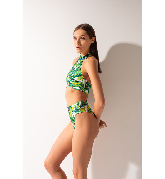 Шорты Green fern Bali Shark