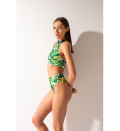 Шорты Green fern Bali Shark