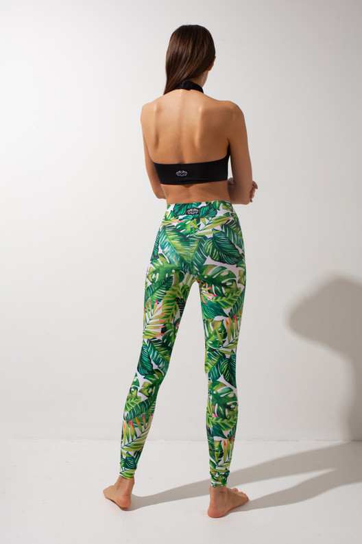 Леггинсы Green fern Shark	