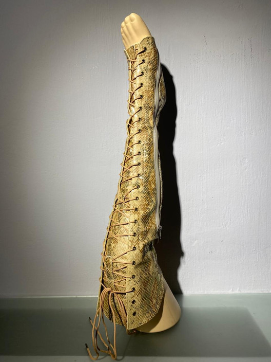 Краги с наколенниками золотая змея