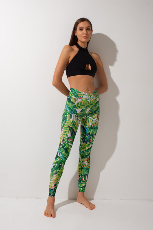 Леггинсы Green fern Shark	