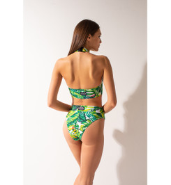 Шорты Green fern Bali Shark