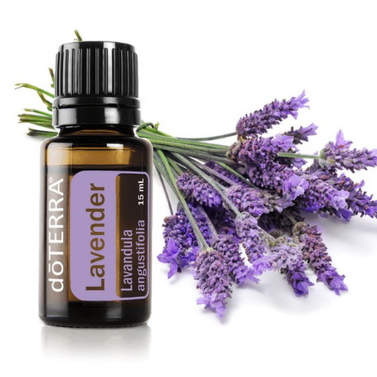 Лаванда | Lavender Oil | Эфирные масла doTERRA