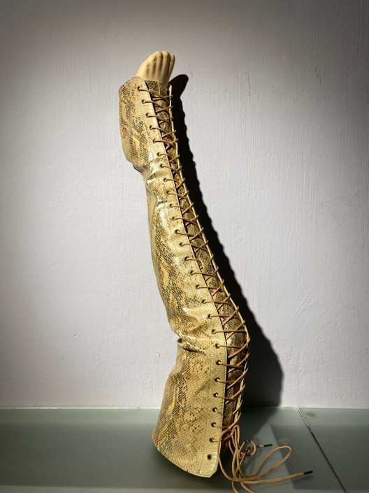 Краги-Ботфорты золотая змея