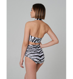 Топ полосы Tanna Shark