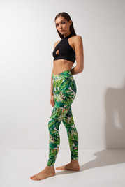 Леггинсы Green fern Shark	