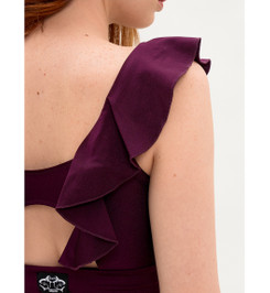 Топ сливовый Sun Shark