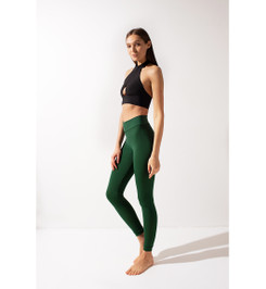 Леггинсы зеленые Shark	