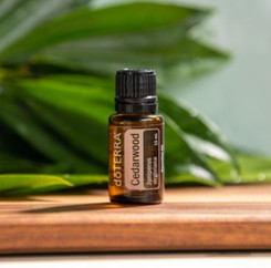 Эфирное масло Кедр 15мл.